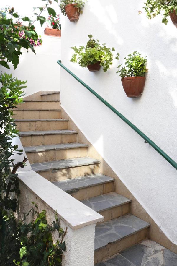 Luxury Spalato Garden Split Exterior foto